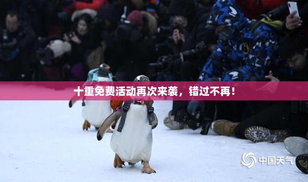 十重免费活动再次来袭，错过不再！