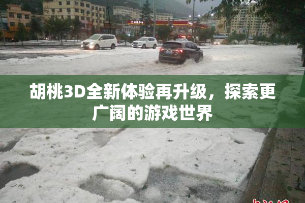 胡桃3D全新体验再升级，探索更广阔的游戏世界