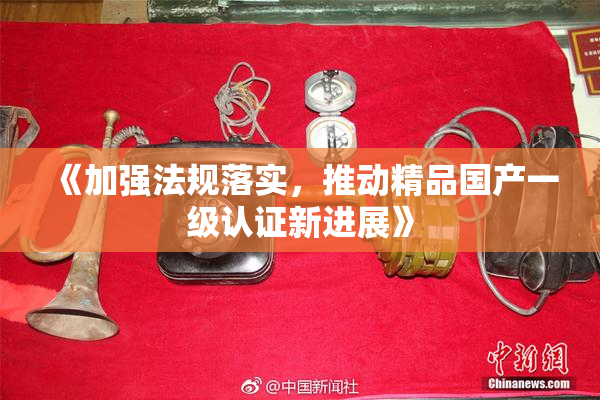 《加强法规落实，推动精品国产一级认证新进展》
