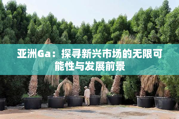 亚洲Ga：探寻新兴市场的无限可能性与发展前景