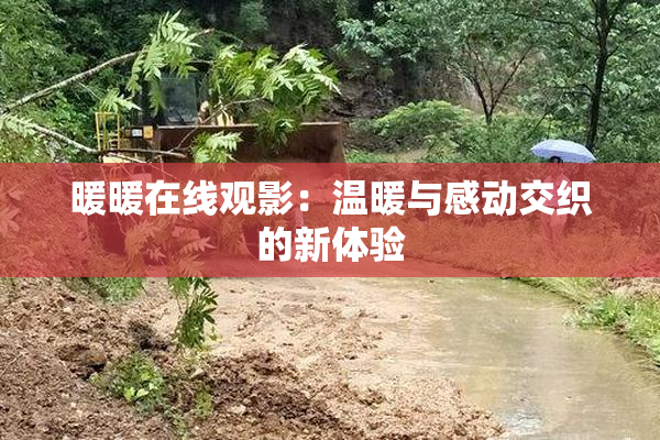 暖暖在线观影：温暖与感动交织的新体验