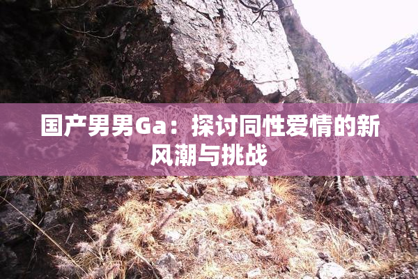 国产男男Ga：探讨同性爱情的新风潮与挑战