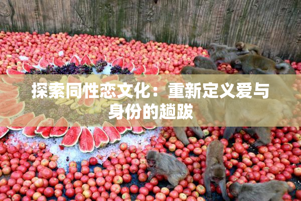 探索同性恋文化：重新定义爱与身份的趟跋