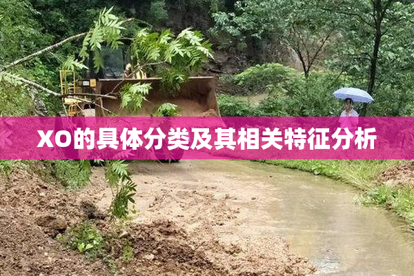 XO的具体分类及其相关特征分析