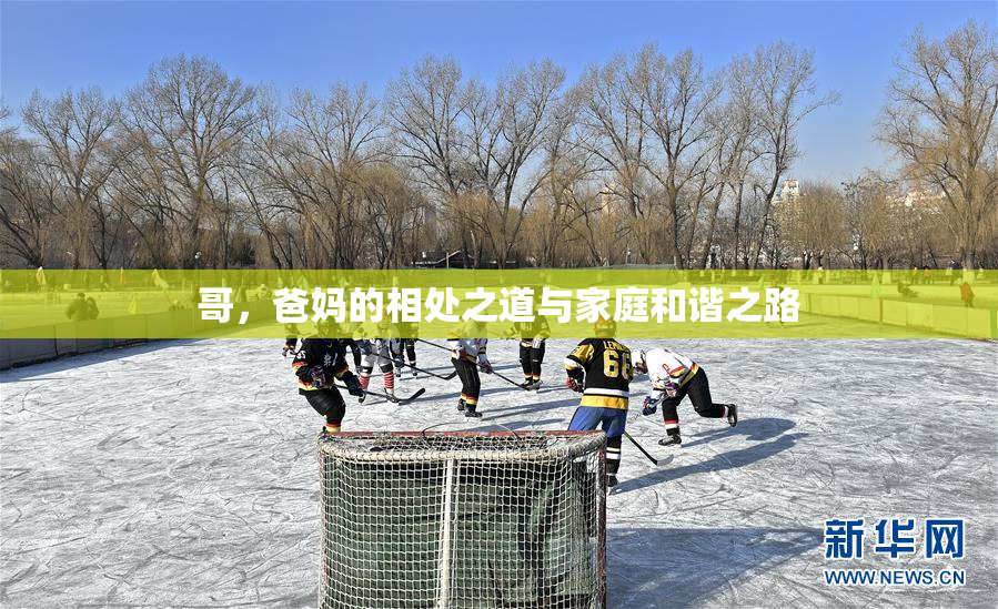 哥，爸妈的相处之道与家庭和谐之路