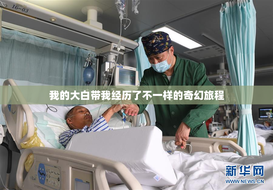 我的大白带我经历了不一样的奇幻旅程