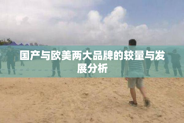 国产与欧美两大品牌的较量与发展分析