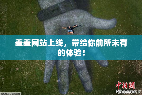 羞羞网站上线，带给你前所未有的体验！