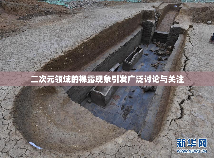 二次元领域的裸露现象引发广泛讨论与关注