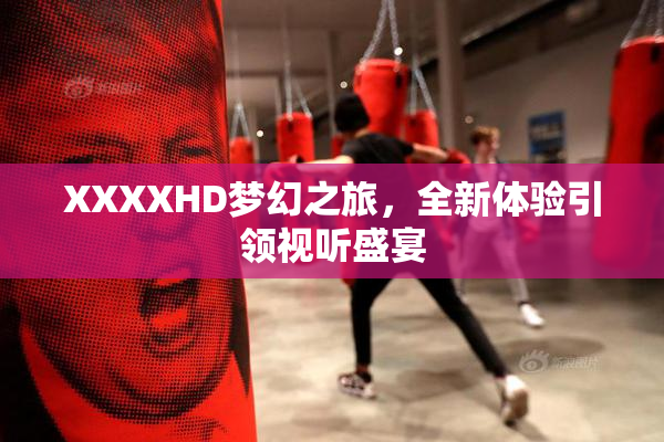 XXXXHD梦幻之旅，全新体验引领视听盛宴