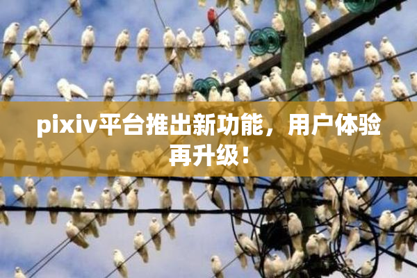 pixiv平台推出新功能，用户体验再升级！