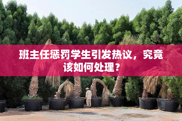 班主任惩罚学生引发热议，究竟该如何处理？
