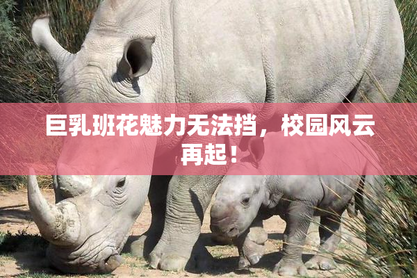 巨乳班花魅力无法挡，校园风云再起！