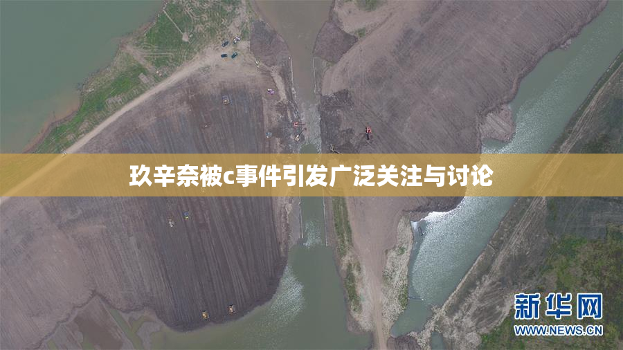 玖辛奈被c事件引发广泛关注与讨论