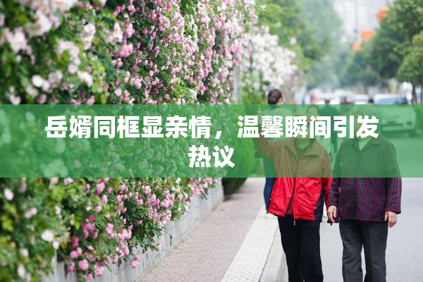 岳婿同框显亲情，温馨瞬间引发热议