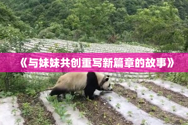 《与妹妹共创重写新篇章的故事》