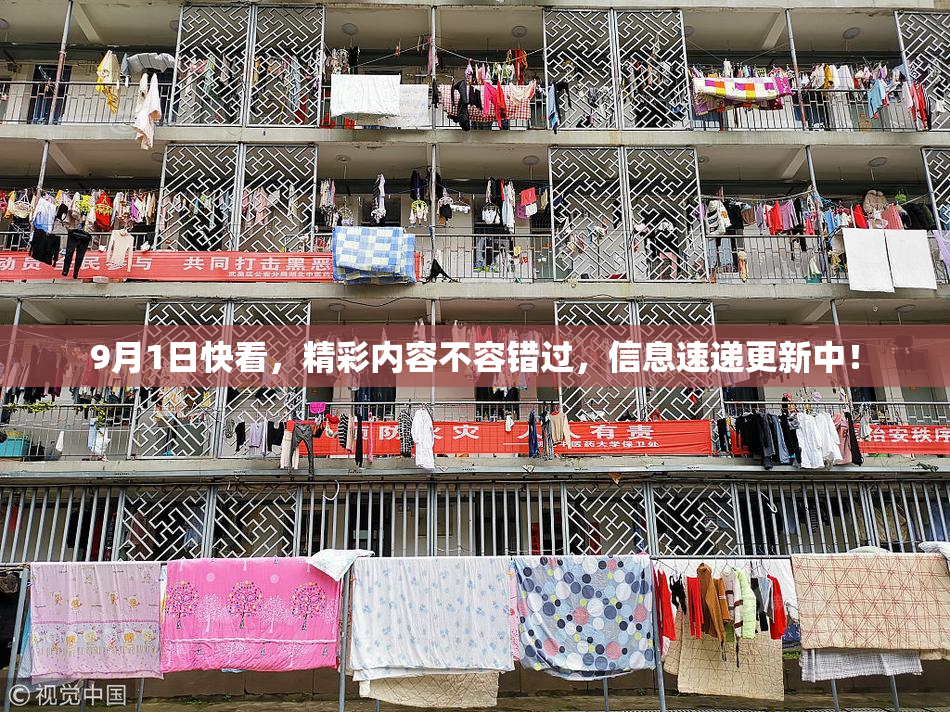 9月1日快看，精彩内容不容错过，信息速递更新中！