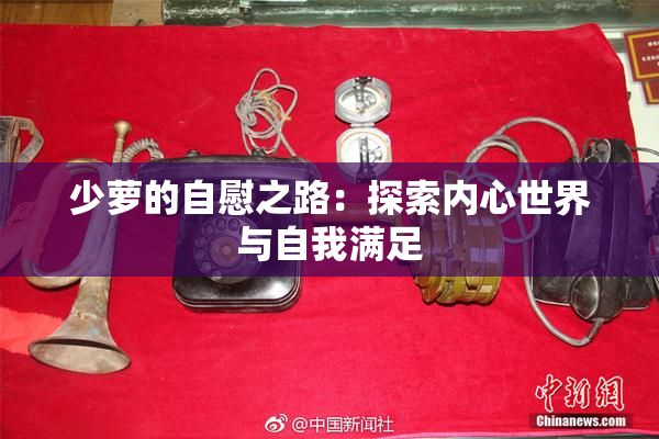少萝的自慰之路：探索内心世界与自我满足