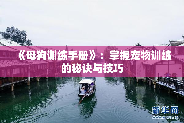 《母狗训练手册》：掌握宠物训练的秘诀与技巧
