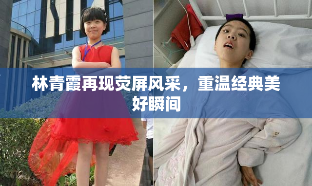 林青霞再现荧屏风采，重温经典美好瞬间