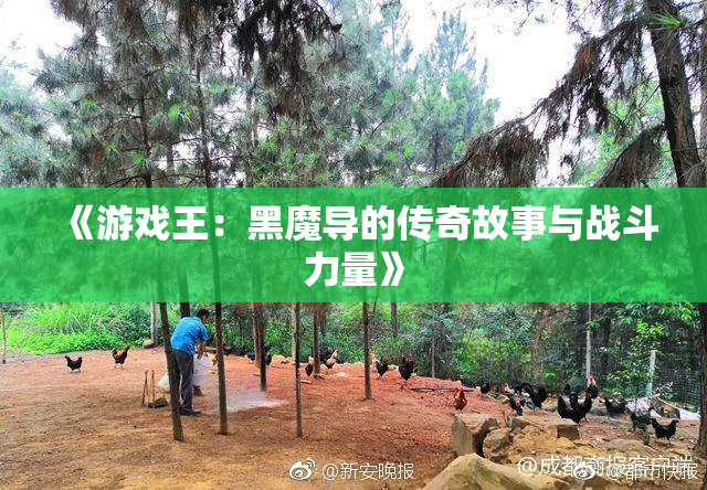 《游戏王：黑魔导的传奇故事与战斗力量》