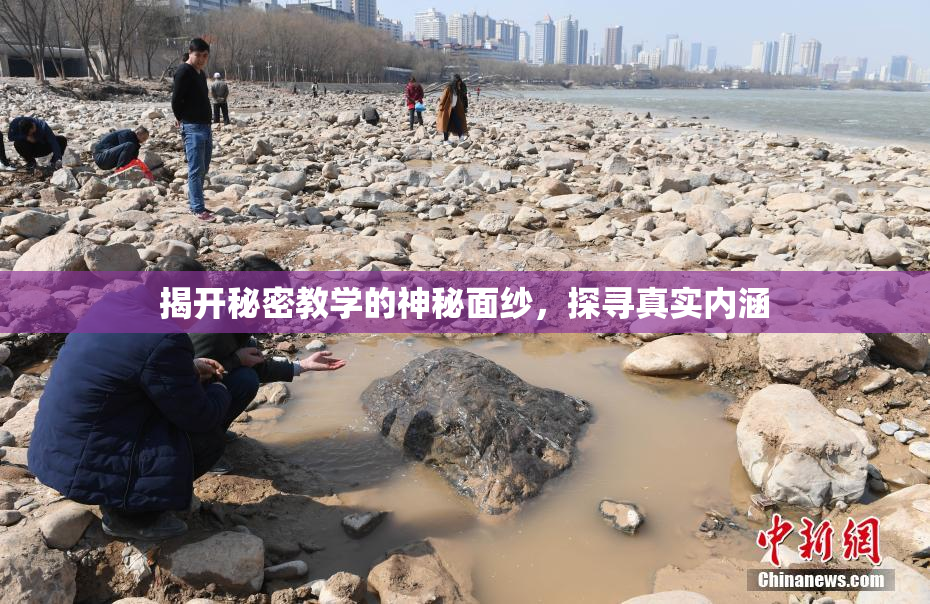 揭开秘密教学的神秘面纱，探寻真实内涵