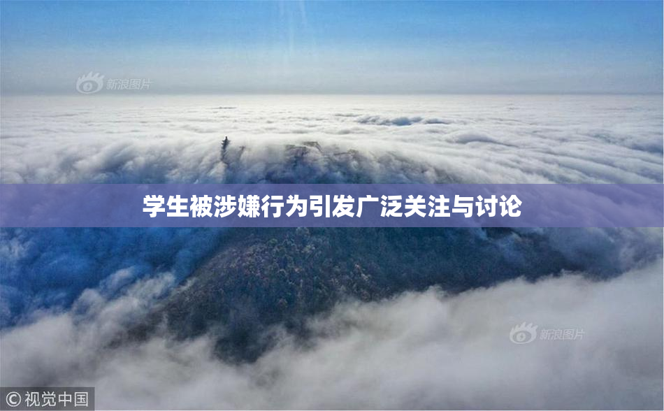 学生被涉嫌行为引发广泛关注与讨论