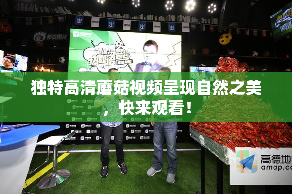 独特高清蘑菇视频呈现自然之美，快来观看！
