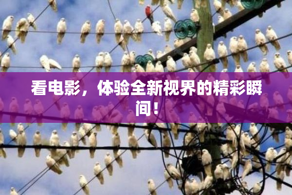 看电影，体验全新视界的精彩瞬间！
