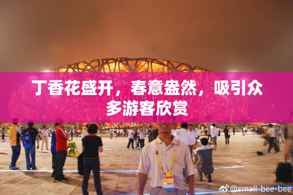 丁香花盛开，春意盎然，吸引众多游客欣赏