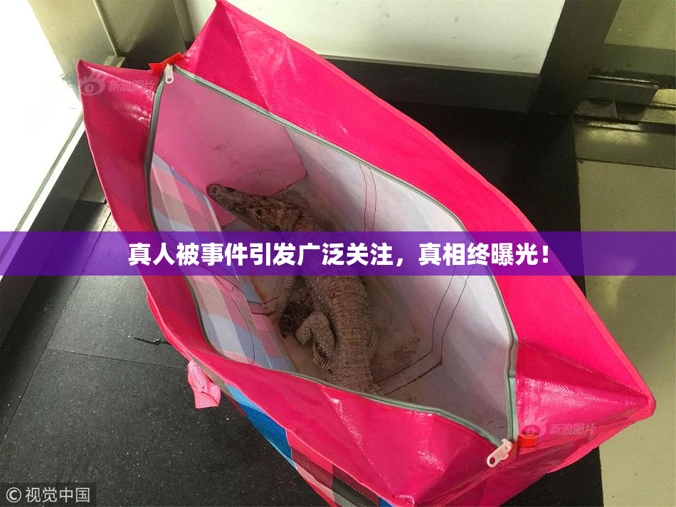 真人被事件引发广泛关注，真相终曝光！
