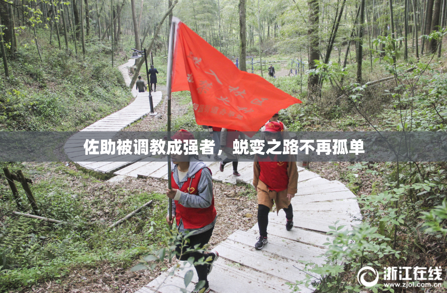 佐助被调教成强者，蜕变之路不再孤单