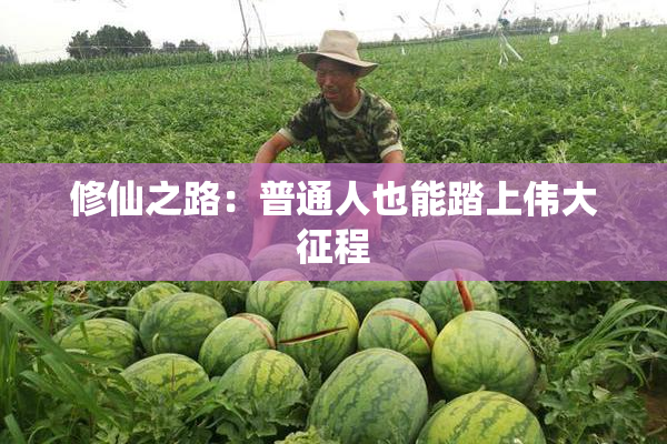 修仙之路：普通人也能踏上伟大征程
