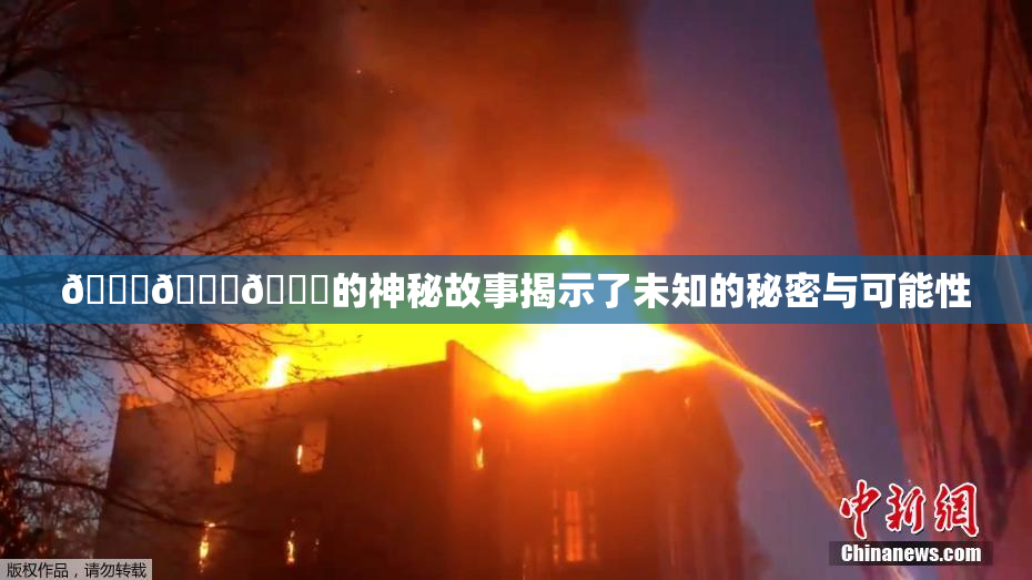 🍆🍑🔞的神秘故事揭示了未知的秘密与可能性