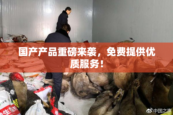 国产产品重磅来袭，免费提供优质服务！