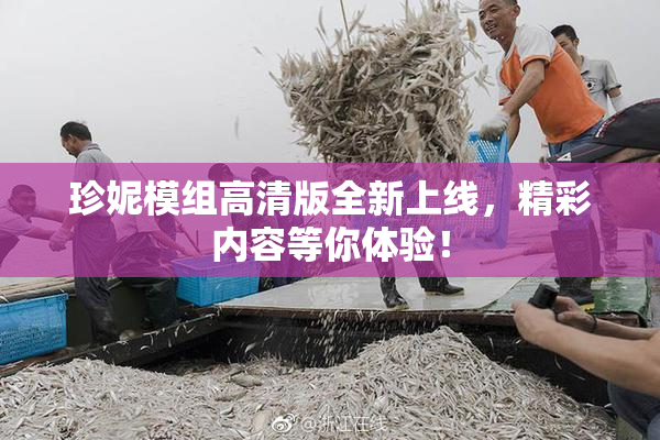 珍妮模组高清版全新上线，精彩内容等你体验！