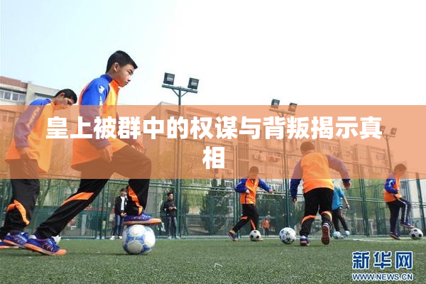 皇上被群中的权谋与背叛揭示真相