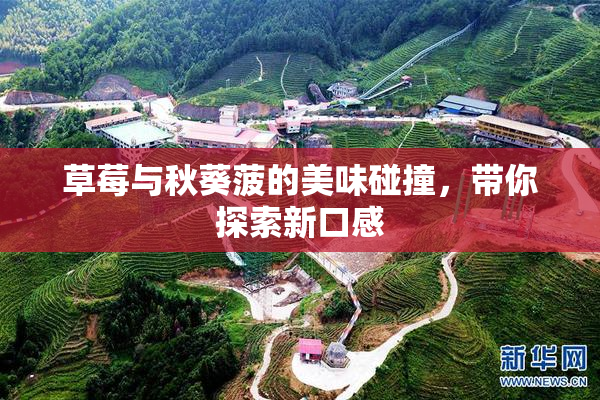 草莓与秋葵菠的美味碰撞，带你探索新口感