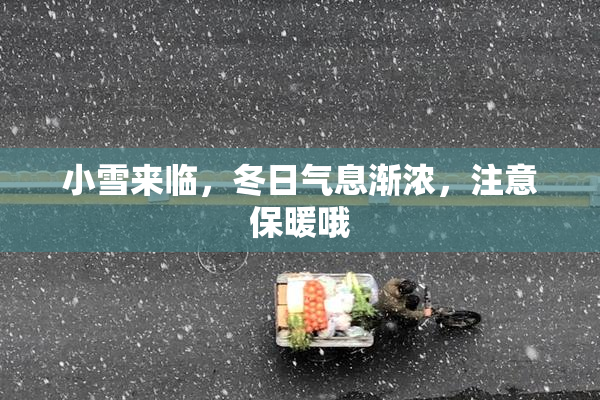 小雪来临，冬日气息渐浓，注意保暖哦