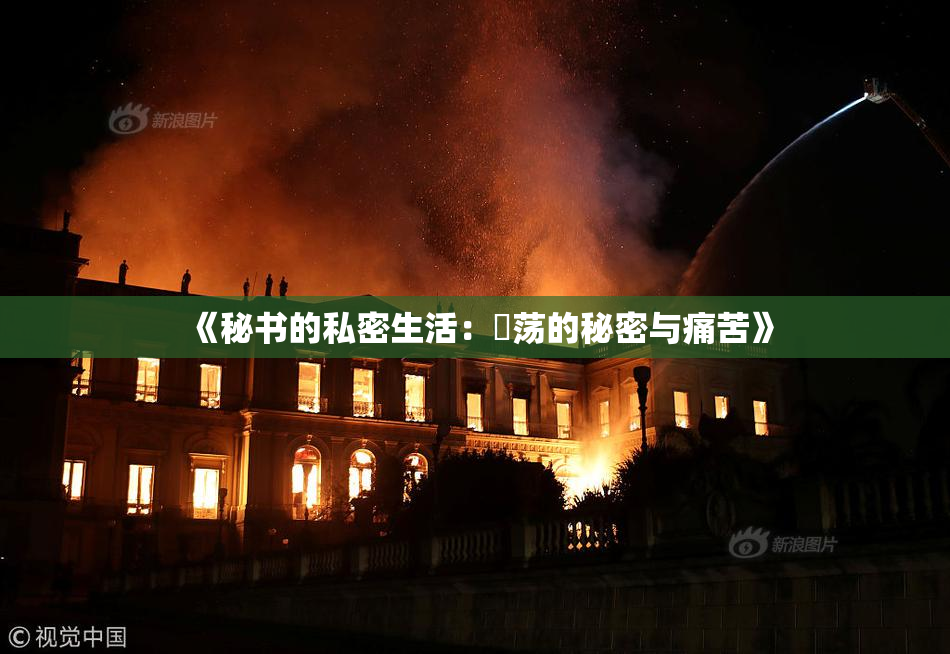 《秘书的私密生活：婬荡的秘密与痛苦》