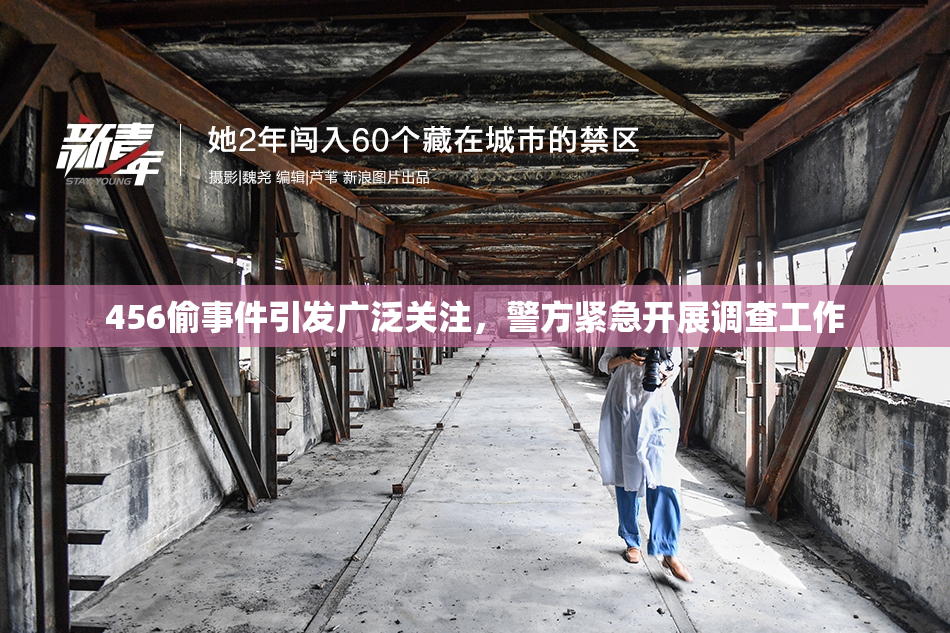 456偷事件引发广泛关注，警方紧急开展调查工作