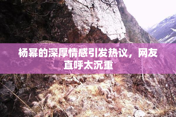 杨幂的深厚情感引发热议，网友直呼太沉重