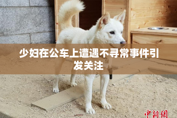 少妇在公车上遭遇不寻常事件引发关注