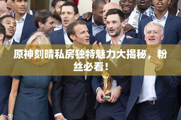 原神刻晴私房独特魅力大揭秘，粉丝必看！