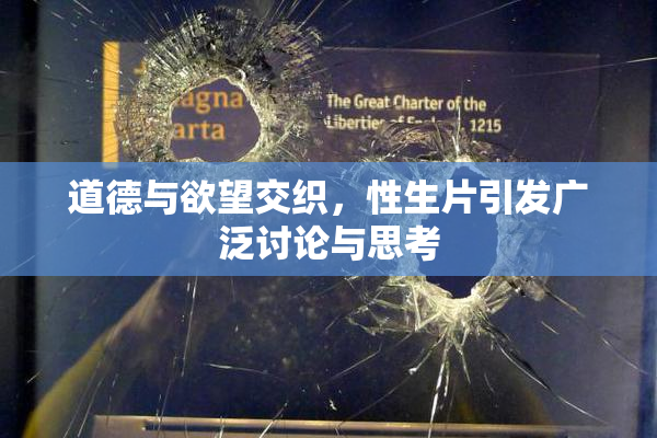 道德与欲望交织，性生片引发广泛讨论与思考