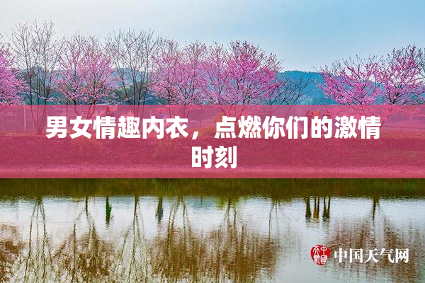 男女情趣内衣，点燃你们的激情时刻