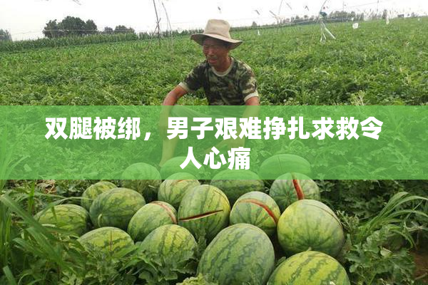 双腿被绑，男子艰难挣扎求救令人心痛