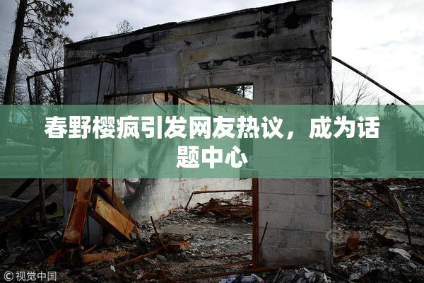 春野樱疯引发网友热议，成为话题中心
