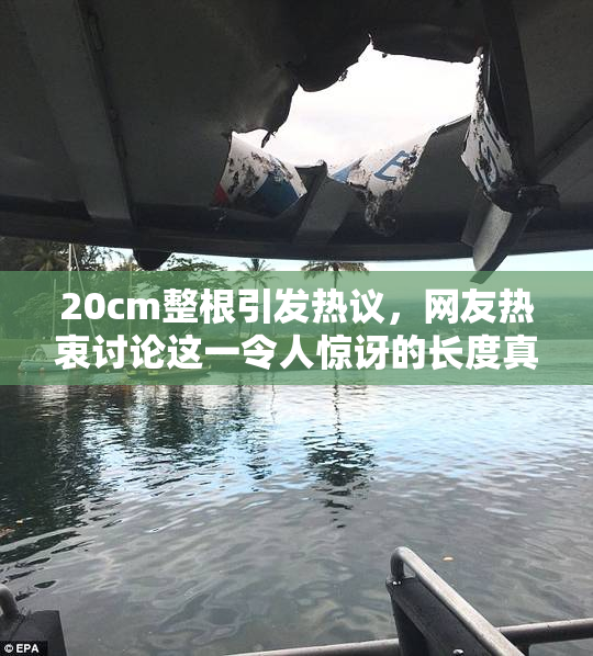 20cm整根引发热议，网友热衷讨论这一令人惊讶的长度真相