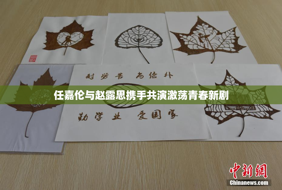 任嘉伦与赵露思携手共演激荡青春新剧